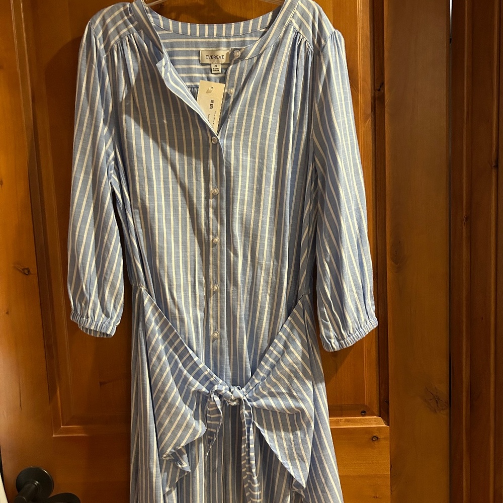 Evereve dress